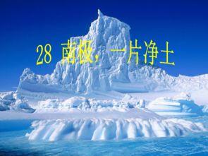 南极最新爆料视频网红,网红带你揭秘神秘极地世界  第1张